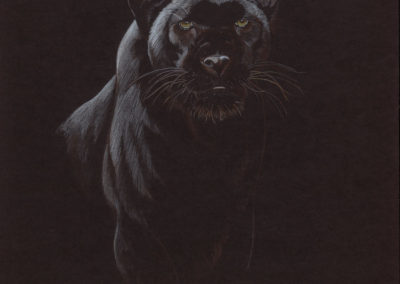 Black Panther